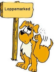 Brunlanes Fotball arrangerer loppemarked